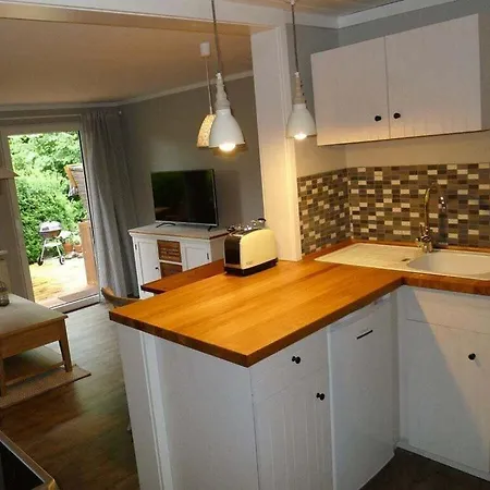 Elysium 2 Comfortable *